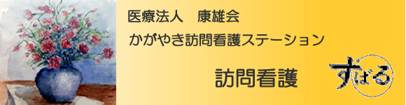 �����₫�K��X�e�[�V����