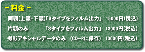 �C���v�����g����